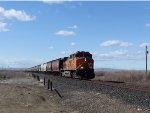 BNSF 5531 East XINBTHP